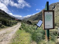 P, Guarda, Manteigas, Sao Pedro 6, Saxifraga-Kees Marijnissen