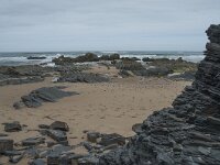 P, Faro, Vila do Bispo, Praia de Castelejo 87, Saxifraga-Willem van Kruijsbergen