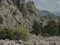 E, Cadiz, Grazalema, Llano del Endrinal 1, Saxifraga-Jan van der Straaten