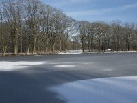 NL, Noord-Brabant, Alphen-Chaam, de Hoevens 61, Saxifraga-Willem van Kruijsbergen