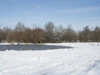 NL, Noord-Brabant, Alphen-Chaam, de Hoevens 80, Saxifraga-Willem van Kruijsbergen
