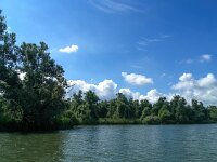 NL, Noord-Brabant, Altena, Gat van den Kleinen Hil 5, Saxifraga-Bart Vastenhouw