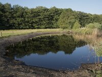 NL, Noord-Brabant, Goirle, Landgoed De Hoevens 73, Saxifraga-Willem van Kruijsbergen