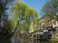 NL, Utrecht, Utrecht, Oude Gracht 5, Saxifraga-Foto Fitis-Sytske Dijksen