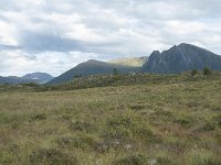 N, More og Romsdal, Fraena, Gule 25, Saxifraga-Annemiek Bouwman