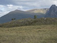 N, More og Romsdal, Fraena, Gule 5, Saxifraga-Willem van Kruijsbergen