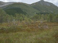 N, More og Romsdal, Fraena, Trollkyrkja 3, Saxifraga-Willem van Kruijsbergen