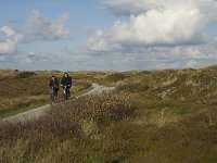 NL, Friesland, Terschelling, Griltjeplak 5, Saxifraga-Marijke Verhagen