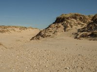 F, Pas-de-Calais, Ambleteuse, Dunes de la Slack 12, Saxifraga-Jan van der Straaten