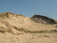 F, Pas-de-Calais, Ambleteuse, Dunes de la Slack 4, Saxifraga-Jan van der Straaten