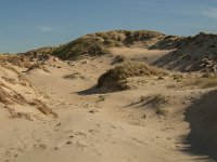 F, Pas-de-Calais, Ambleteuse, Dunes de la Slack 7, Saxifraga-Jan van der Straaten
