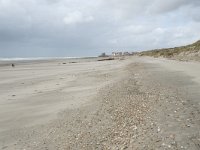 F, Pas-de-Calais, Wimereux, Dunes de la Slack 11, Saxifraga-Willem van Kruijsbergen