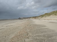 F, Pas-de-Calais, Wimereux, Dunes de la Slack 12, Saxifraga-Willem van Kruijsbergen