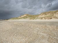 F, Pas-de-Calais, Wimereux, Dunes de la Slack 14, Saxifraga-Willem van Kruijsbergen