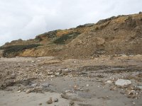 F, Pas-de-Calais, Wimereux, Dunes de la Slack 17, Saxifraga-Willem van Kruijsbergen