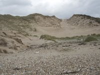F, Pas-de-Calais, Wimereux, Dunes de la Slack 2, Saxifraga-Willem van Kruijsbergen