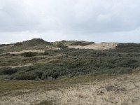 F, Pas-de-Calais, Wimereux, Dunes de la Slack 20, Saxifraga-Willem van Kruijsbergen