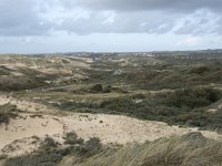 F, Pas-de-Calais, Wimereux, Dunes de la Slack 21, Saxifraga-Willem van Kruijsbergen