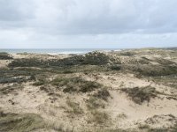 F, Pas-de-Calais, Wimereux, Dunes de la Slack 22, Saxifraga-Willem van Kruijsbergen