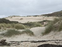 F, Pas-de-Calais, Wimereux, Dunes de la Slack 3, Saxifraga-Willem van Kruijsbergen