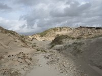 F, Pas-de-Calais, Wimereux, Dunes de la Slack 4, Saxifraga-Willem van Kruijsbergen