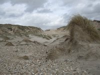 F, Pas-de-Calais, Wimereux, Dunes de la Slack 5, Saxifraga-Willem van Kruijsbergen