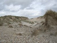 F, Pas-de-Calais, Wimereux, Dunes de la Slack 6, Saxifraga-Willem van Kruijsbergen