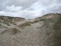 F, Pas-de-Calais, Wimereux, Dunes de la Slack 7, Saxifraga-Willem van Kruijsbergen