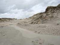 F, Pas-de-Calais, Wimereux, Dunes de la Slack 8, Saxifraga-Willem van Kruijsbergen