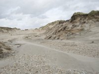 F, Pas-de-Calais, Wimereux, Dunes de la Slack 9, Saxifraga-Willem van Kruijsbergen