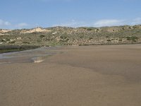 P, Faro, Aljezur, Carrapateira, Praia da Bordeira 13, Saxifraga-Willem van Kruijsbergen