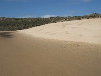 P, Faro, Aljezur, Carrapateira, Praia da Bordeira 15, Saxifraga-Willem van Kruijsbergen