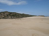 P, Faro, Aljezur, Carrapateira, Praia da Bordeira 20, Saxifraga-Willem van Kruijsbergen