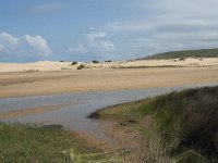 P, Faro, Aljezur, Carrapateira, Praia da Bordeira 7, Saxifraga-Willem van Kruijsbergen