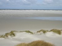 NL, Friesland, Ameland, Lange duinen, Groene strand 2, Saxifraga-Hans Boll
