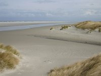 NL, Friesland, Ameland, Lange duinen, Groene strand 4, Saxifraga-Hans Boll