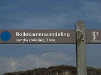 NL, Noord-Holland, Texel, Bollekamer 28, Saxifraga-Willem van Kruijsbergen