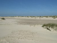 NL, Noord-Holland, Texel, De Hors 21, Saxifraga-Willem van Kruijsbergen