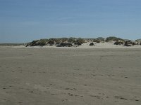 NL, Noord-Holland, Texel, De Hors 25, Saxifraga-Willem van Kruijsbergen