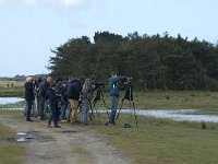NL, Noord-Holland, Texel, De Muy 34, Saxifraga-Willem van Kruijsbergen