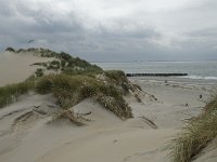 NL, Zeeland, Schouwen-Duiveland, Westenschouwen 5, Saxifraga-Willem van Kruijsbergen
