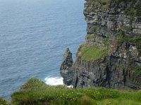 IRL, Clare County, Lahinch, Cliffs of Moher 3, Saxifraga-Kees  Laarhoven