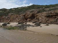 P, Faro, Aljezur, Carrapateira, Praia da Bordeira 37, Saxifraga-Willem van Kruijsbergen