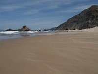 P, Faro, Vila do Bispo, Praia de Castelejo 107, Saxifraga-Willem van Kruijsbergen