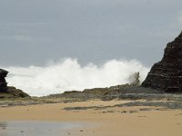 P, Faro, Vila do Bispo, Praia de Castelejo 59, Saxifraga-Willem van Kruijsbergen