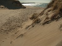 F, Pas-de-Calais, Ambleteuse, Dunes de la Slack 10, Saxifraga-Jan van der Straaten