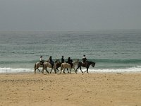 E, Cadiz, Tarifa, El Lentiscal 1, Saxifraga-Willem van Kruijsbergen