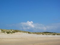 NL, Friesland, Vlieland, Strand 3, Saxifraga-Bart Vastenhouw
