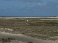 NL, Noord-Holland, Texel, De Slufter 42, Saxifraga-Willem van Kruijsbergen