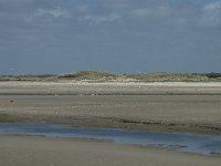 NL, Noord-Holland, Texel, De Slufter 70, Saxifraga-Willem van Kruijsbergen